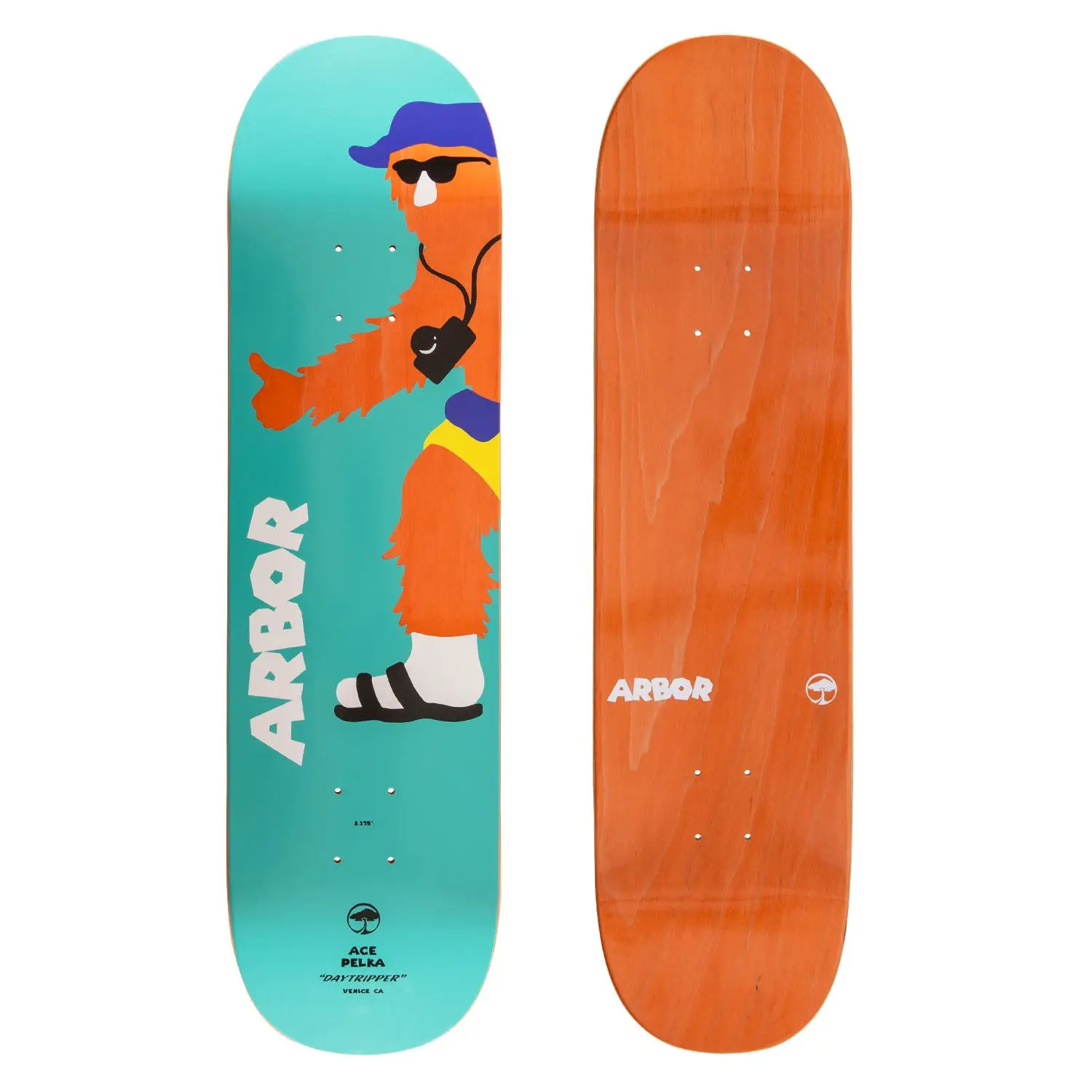 Ace Pelka Daytripper 8.375" Skateboard Deck - Teal